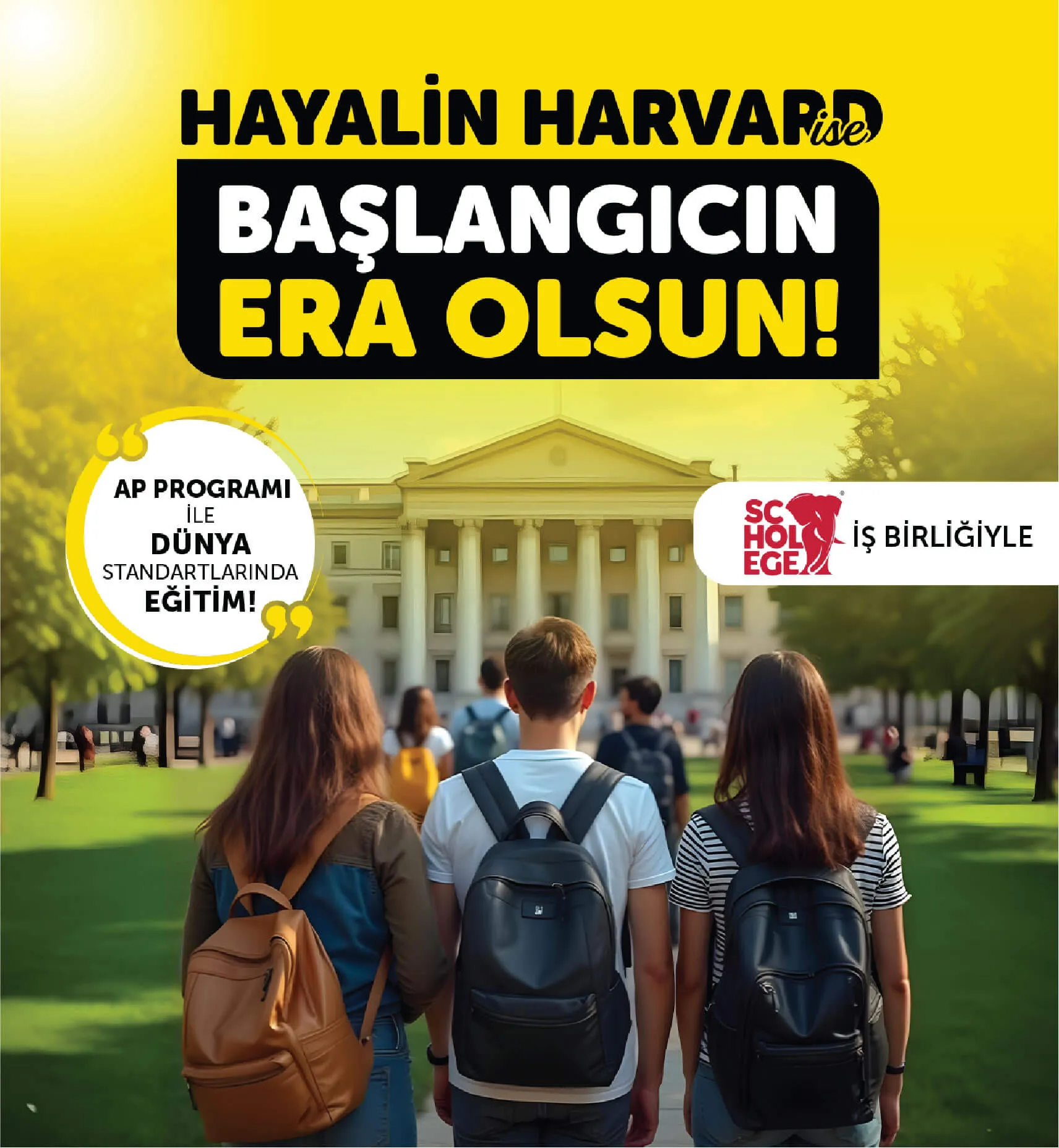 AP programı tanıtım görseli