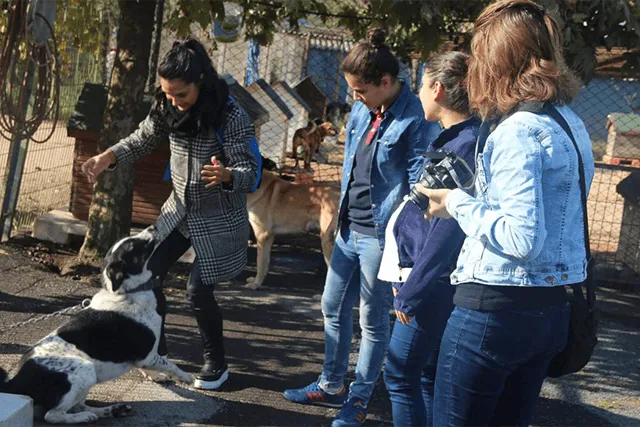ERA Koleji – Mama Kumbarası Kampanyası görseli