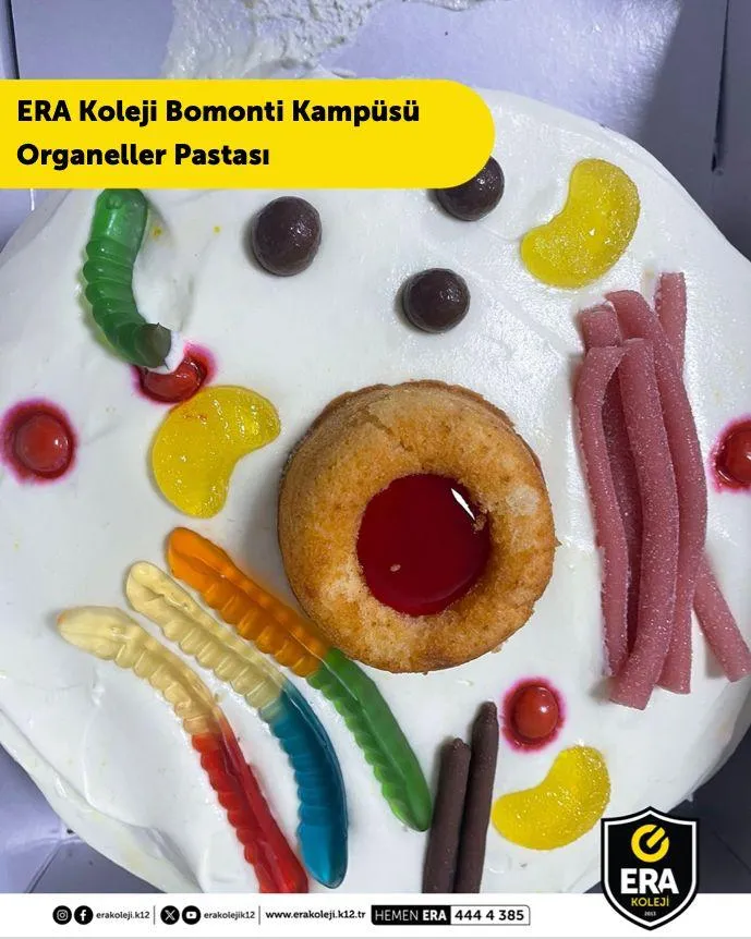 ERA Koleji – Organeller Pastası görseli
